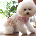 犬服　お色変えで再販！甘甘ガーリーキャンディワンピースver.