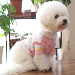 犬服　甘甘ガーリーキャンディTシャツver.