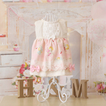 犬服　 Hello Baby! リボンワンピース