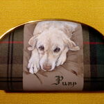 【chacha様専用】ラブラドールレトリーバーちゃん