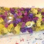 ♡new♡ ♡作家様必見♡ ♡スターチス　ドライフラワー♡