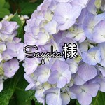 SAYAKA様専用