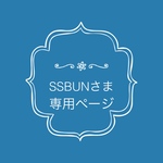 【ssbun さま 専用ページ】レースマスク2枚セット