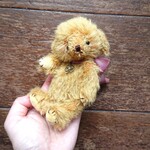 ムクムク子犬