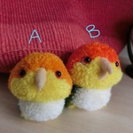 もけもけシロハラインコさんのキーホルダー