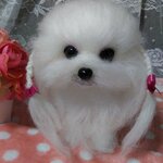 (ksmr123様専用ページ)ニッコリマルチーズちゃん