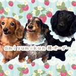 ♡amiyumikun様オーダー♡