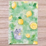 🍋透明水彩画「すっぱいレモン」水彩画イラストポストカード２枚セット　猫　ねこ　フルーツ　癒し　暑中見舞い　父の日