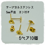 5ペア10個【316Lサージカルステンレス】5ｍｍ 平皿 カン付き ピアス パーツ