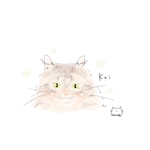 専用ページ