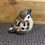 🟡まん丸かわいい野鳥　スズメ