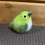 🟡まん丸かわいい野鳥　メジロ