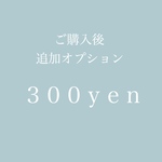 【¥300】ご購入後の追加オプション