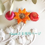 Guamさま専用ページ