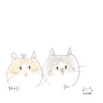 専用ページ