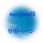 norijoes様専用