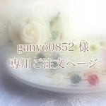 【ganyo0852様 専用ページ】