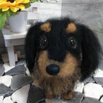 (um2810ne様専用ページ)ダックスちゃん