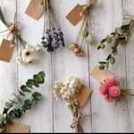 小さくて可愛いドライフラワー７点プラス