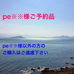 pe※※様ご予約品