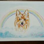 【forestriver様オーダー品】愛犬イラスト