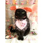 ハートエプロン、猫ちゃんの首輪