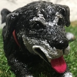 lalakolala様専用 ハンドメイド  オーダー受注製作依頼品 ラブラドール ミックス 愛犬 犬  ミニチュア 置物 人形 おもちゃ ペット  樹脂粘土 粘土