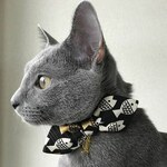 ねこ用　蝶ネクタイ　ギョギョギョ！！