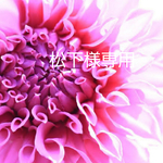 松下様専用