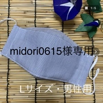 midori0615様専用　夏用マスク　舟形マスク　ブルーB Ｌサイズ　男性用　ノーズワイヤー入り　フィルターポケット付き　西村大臣風マスク