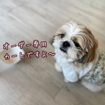 copaltomo様専用カート♡