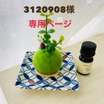 3120908様専用ページです。
