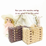 お客様ご依頼品です‎٭¨̮ minimini trunk  8.5cm