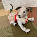 アイボ  服〜赤色リボン aibo