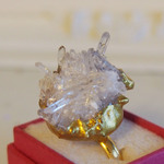 Hedgehog　Ring　#02