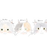 専用ページ