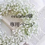 専用ページ