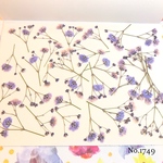♡new♡作家様必見♡ ♡カラフルなかすみ草♡押し花セット