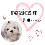 rozica様専用ページ