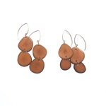 tagua