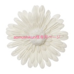 aomushikun様専用ページ
