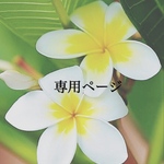 専用ページ 𓂃 𓆸 ⡱