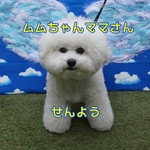 ムムちゃんママさん専用ページ