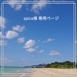 spica様 専用ページ 【コバルトブルー】6本  Lサイズ 丸かん付きタッセル他1点 