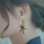 No.53【300円】星みたいなピアス