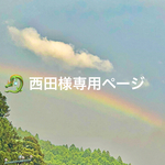 ✨🐉西田様専用ページ🐉✨