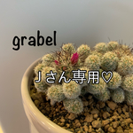 Ｊさん専用ページです♡