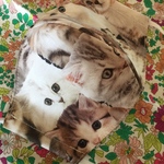 ぴ様ご予約💖ネコちゃん大好き！愛らしい表情のねこちゃんリアルプリント×ダブルガーゼオフホワイトいたくないひも