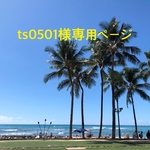 ts0501様専用ページ