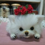羊毛フェルト   チワワ   ペタンコポーズ   犬   ホワイト
